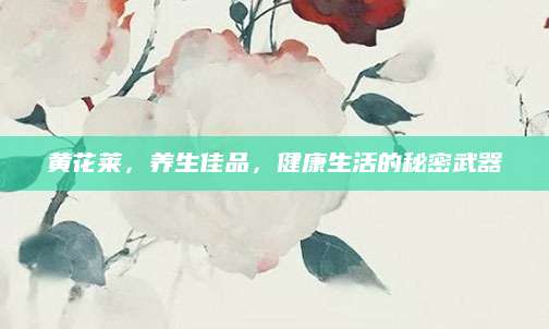 黄花莱，养生佳品，健康生活的秘密武器