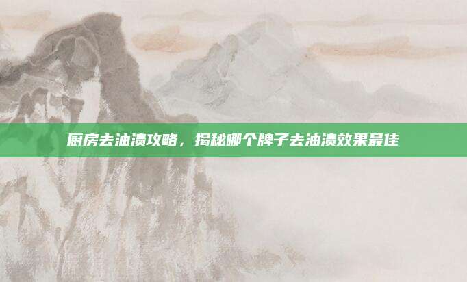 厨房去油渍攻略，揭秘哪个牌子去油渍效果最佳