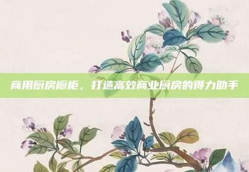 商用厨房橱柜，打造高效商业厨房的得力助手