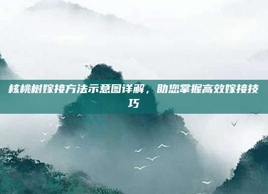 核桃树嫁接方法示意图详解，助您掌握高效嫁接技巧