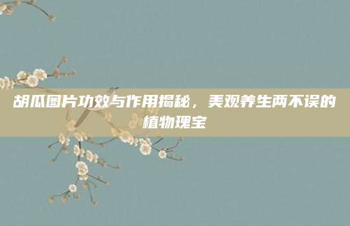 胡瓜图片功效与作用揭秘，美观养生两不误的植物瑰宝