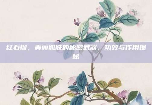 红石榴，美丽肌肤的秘密武器，功效与作用揭秘