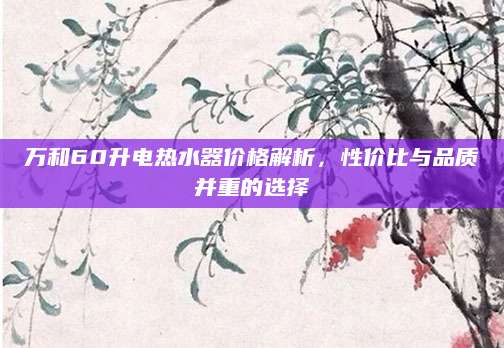 万和60升电热水器价格解析，性价比与品质并重的选择