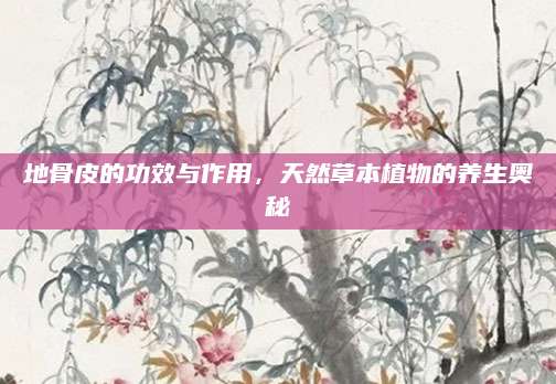 地骨皮的功效与作用，天然草本植物的养生奥秘