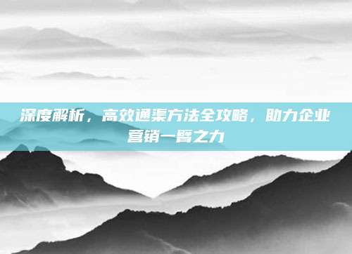 深度解析，高效通渠方法全攻略，助力企业营销一臂之力