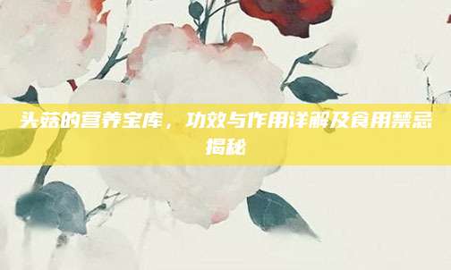 头菇的营养宝库，功效与作用详解及食用禁忌揭秘