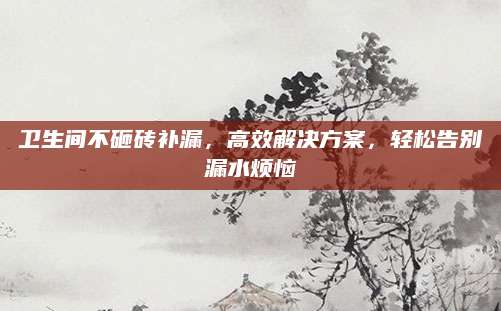 卫生间不砸砖补漏，高效解决方案，轻松告别漏水烦恼