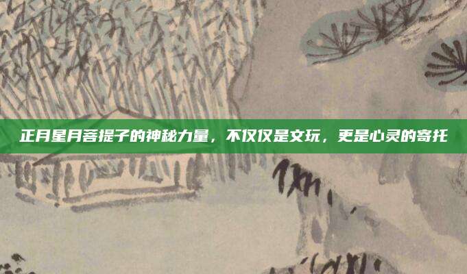 正月星月菩提子的神秘力量，不仅仅是文玩，更是心灵的寄托