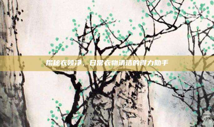 揭秘衣领净，日常衣物清洁的得力助手