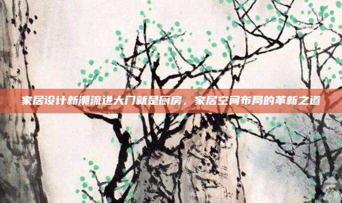 家居设计新潮流进大门就是厨房，家居空间布局的革新之道