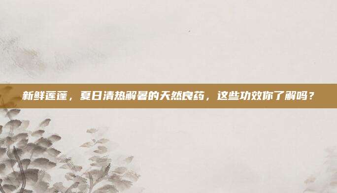 新鲜莲蓬，夏日清热解暑的天然良药，这些功效你了解吗？