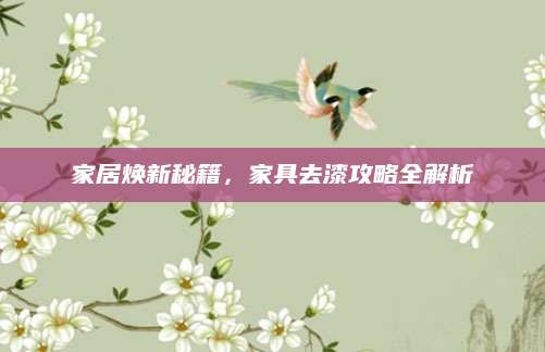 家居焕新秘籍，家具去漆攻略全解析