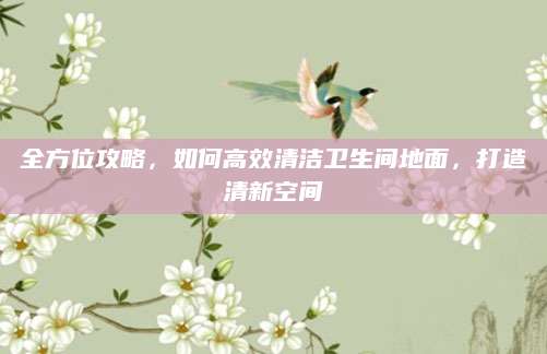 全方位攻略，如何高效清洁卫生间地面，打造清新空间