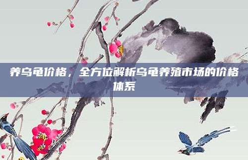 养乌龟价格，全方位解析乌龟养殖市场的价格体系