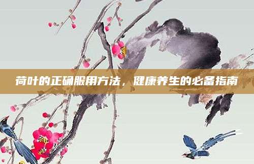 荷叶的正确服用方法，健康养生的必备指南