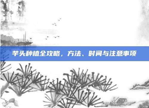 芋头种植全攻略，方法、时间与注意事项