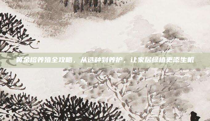 黄金榕养殖全攻略，从选种到养护，让家居绿植更添生机