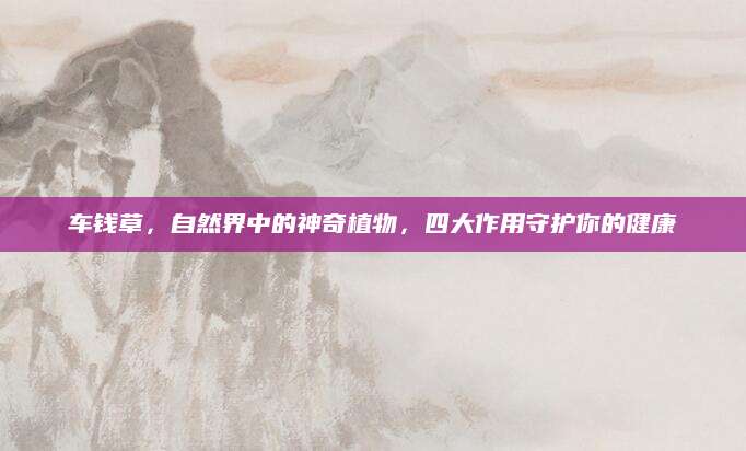 车钱草，自然界中的神奇植物，四大作用守护你的健康