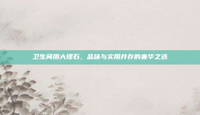 卫生间用大理石，品味与实用并存的奢华之选