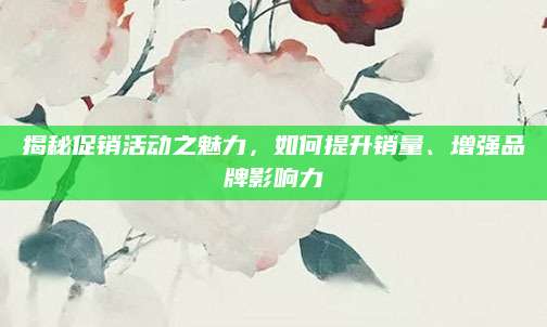 揭秘促销活动之魅力，如何提升销量、增强品牌影响力