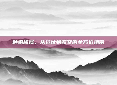 种植橄榄，从选址到收获的全方位指南