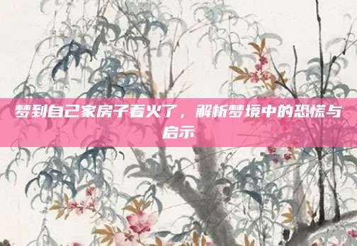 梦到自己家房子着火了，解析梦境中的恐慌与启示