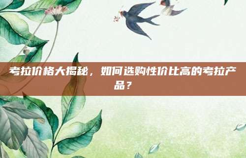 考拉价格大揭秘，如何选购性价比高的考拉产品？