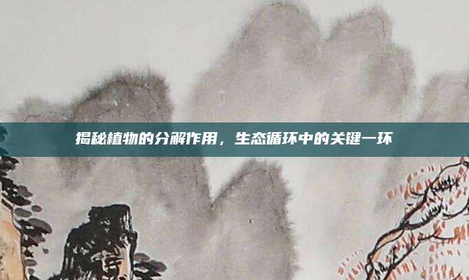 揭秘植物的分解作用，生态循环中的关键一环