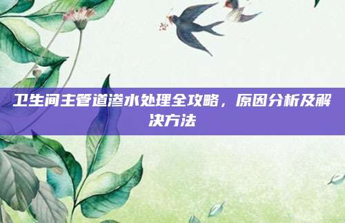 卫生间主管道渗水处理全攻略，原因分析及解决方法