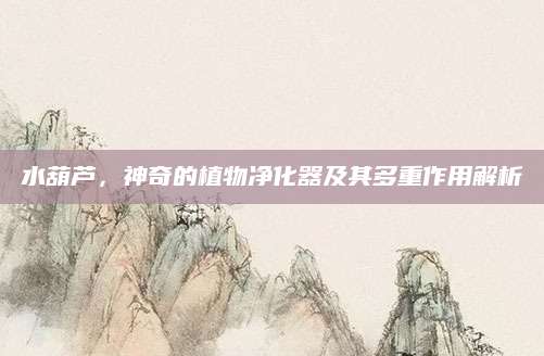 水葫芦，神奇的植物净化器及其多重作用解析