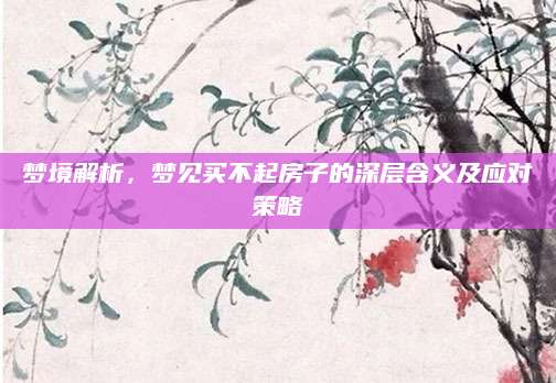 梦境解析，梦见买不起房子的深层含义及应对策略