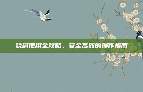 烧碱使用全攻略，安全高效的操作指南
