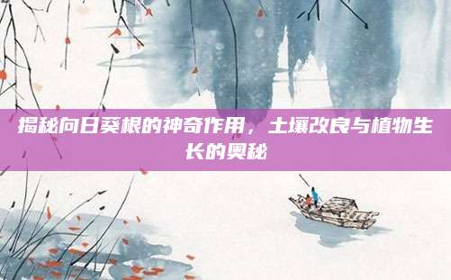 揭秘向日葵根的神奇作用，土壤改良与植物生长的奥秘