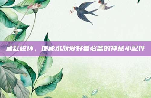 鱼缸磁环，揭秘水族爱好者必备的神秘小配件