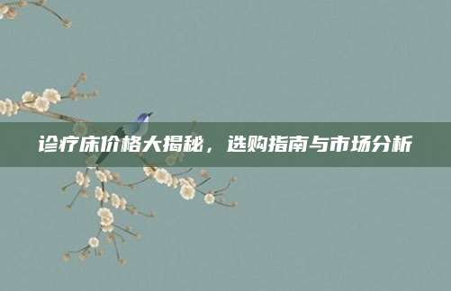 诊疗床价格大揭秘，选购指南与市场分析