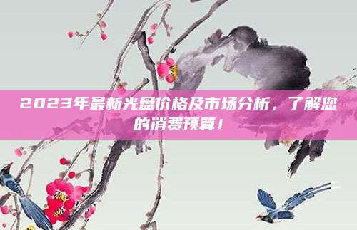 2023年最新光盘价格及市场分析，了解您的消费预算！