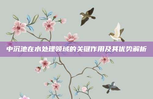 中沉池在水处理领域的关键作用及其优势解析