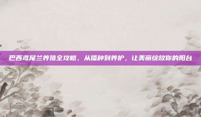 巴西鸢尾兰养殖全攻略，从播种到养护，让美丽绽放你的阳台