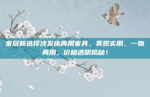 家居新选择沙发床两用家具，美观实用，一物两用，价格透明揭秘！