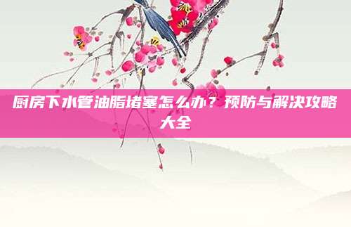 厨房下水管油脂堵塞怎么办？预防与解决攻略大全