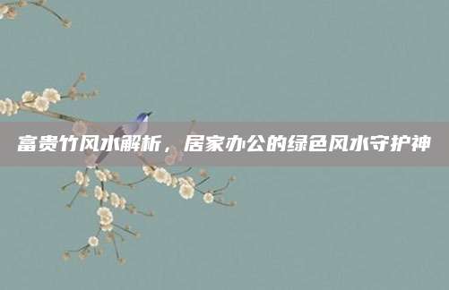 富贵竹风水解析，居家办公的绿色风水守护神