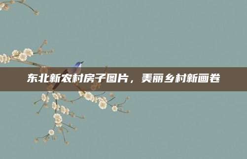 东北新农村房子图片，美丽乡村新画卷