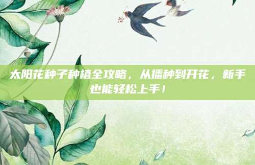 太阳花种子种植全攻略，从播种到开花，新手也能轻松上手！