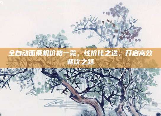 全自动面条机价格一览，性价比之选，开启高效餐饮之路