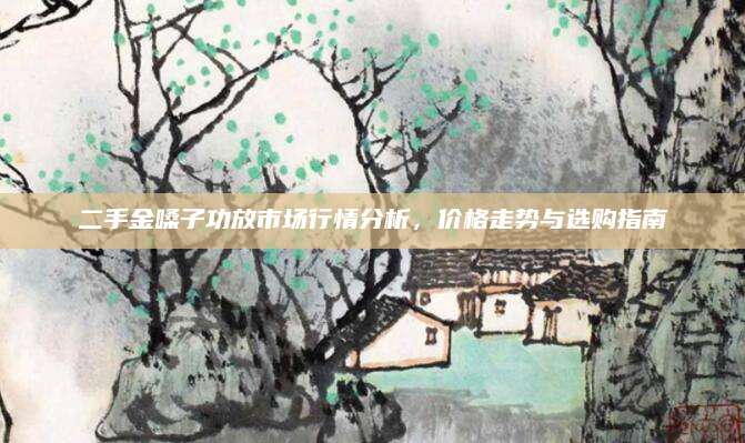 二手金嗓子功放市场行情分析，价格走势与选购指南