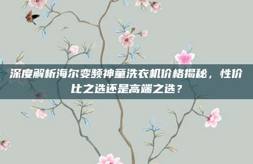 深度解析海尔变频神童洗衣机价格揭秘，性价比之选还是高端之选？
