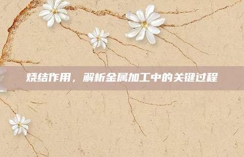 烧结作用，解析金属加工中的关键过程