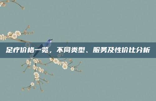 足疗价格一览，不同类型、服务及性价比分析