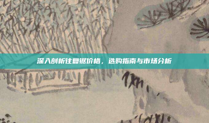 深入剖析往复锯价格，选购指南与市场分析