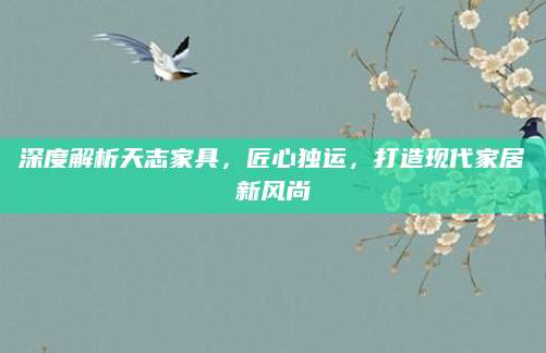 深度解析天志家具，匠心独运，打造现代家居新风尚